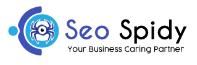 SEOSpidy – Website Designer Noida